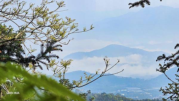 【水社大山】北陵線登山口，白石土地公O繞，挑戰日月潭最高峰-