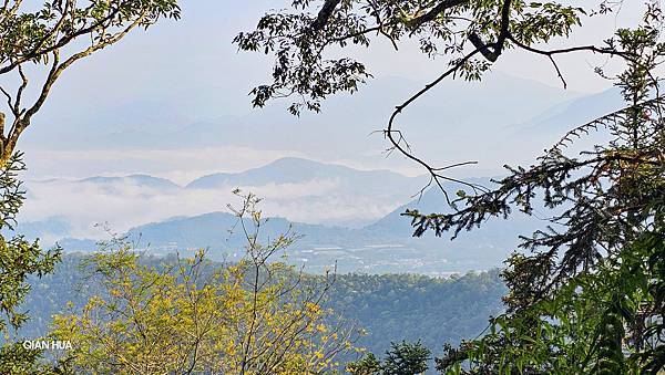 【水社大山】北陵線登山口，白石土地公O繞，挑戰日月潭最高峰-