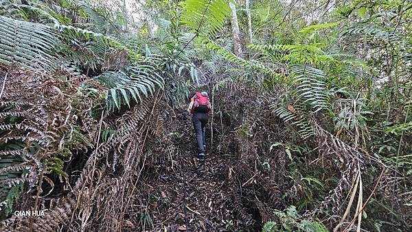 【水社大山】北陵線登山口，白石土地公O繞，挑戰日月潭最高峰-