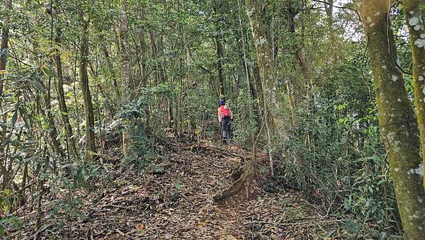 【水社大山】北陵線登山口，白石土地公O繞，挑戰日月潭最高峰-