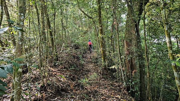 【水社大山】北陵線登山口，白石土地公O繞，挑戰日月潭最高峰-