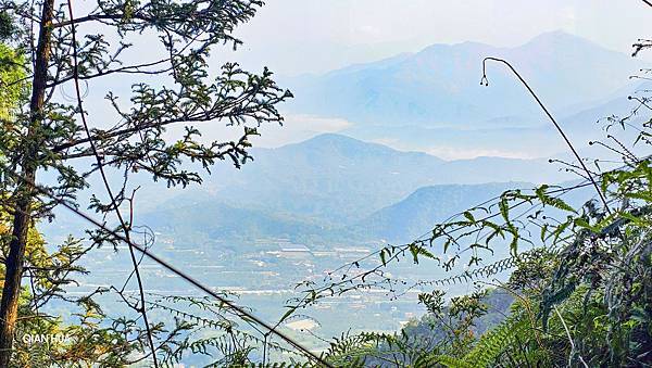 【水社大山】北陵線登山口，白石土地公O繞，挑戰日月潭最高峰-