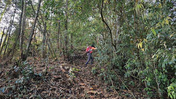 【水社大山】北陵線登山口，白石土地公O繞，挑戰日月潭最高峰-