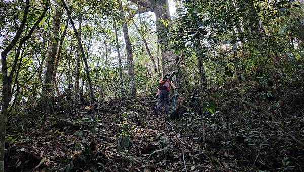【水社大山】北陵線登山口，白石土地公O繞，挑戰日月潭最高峰-