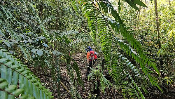 【水社大山】北陵線登山口，白石土地公O繞，挑戰日月潭最高峰-