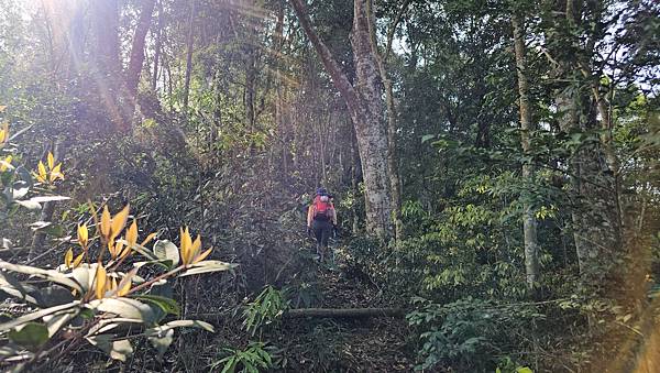 【水社大山】北陵線登山口，白石土地公O繞，挑戰日月潭最高峰-