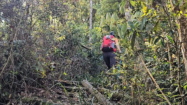 【水社大山】北陵線登山口，白石土地公O繞，挑戰日月潭最高峰-