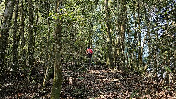 【水社大山】北陵線登山口，白石土地公O繞，挑戰日月潭最高峰-