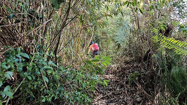 【水社大山】北陵線登山口，白石土地公O繞，挑戰日月潭最高峰-