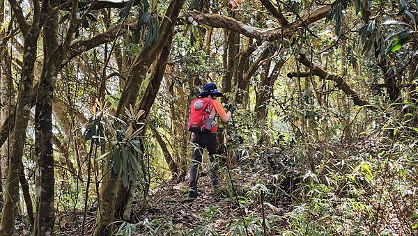 【水社大山】北陵線登山口，白石土地公O繞，挑戰日月潭最高峰-