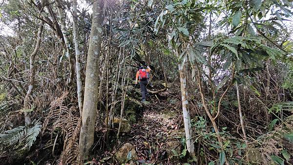 【水社大山】北陵線登山口，白石土地公O繞，挑戰日月潭最高峰-