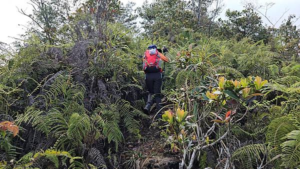【水社大山】北陵線登山口，白石土地公O繞，挑戰日月潭最高峰-