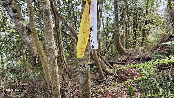 【水社大山】北陵線登山口，白石土地公O繞，挑戰日月潭最高峰-