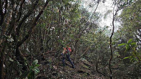 【水社大山】北陵線登山口，白石土地公O繞，挑戰日月潭最高峰-