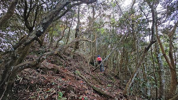 【水社大山】北陵線登山口，白石土地公O繞，挑戰日月潭最高峰-
