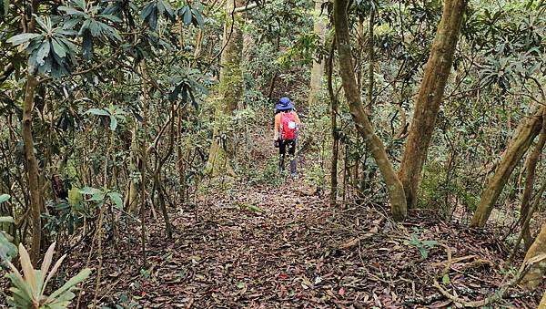 【水社大山】北陵線登山口，白石土地公O繞，挑戰日月潭最高峰-