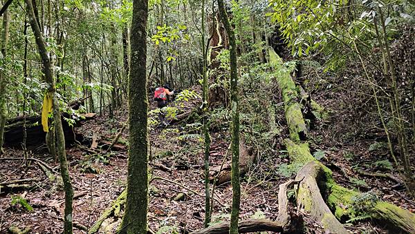 【水社大山】北陵線登山口，白石土地公O繞，挑戰日月潭最高峰-