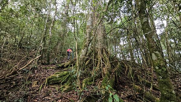 【水社大山】北陵線登山口，白石土地公O繞，挑戰日月潭最高峰-