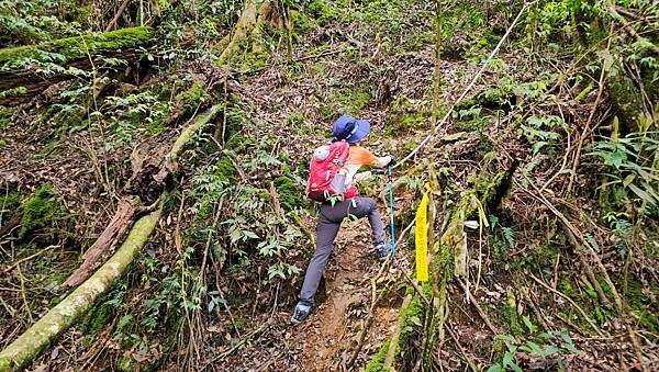 【水社大山】北陵線登山口，白石土地公O繞，挑戰日月潭最高峰-