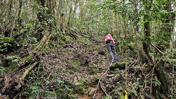 【水社大山】北陵線登山口，白石土地公O繞，挑戰日月潭最高峰-
