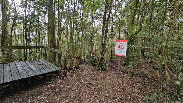 【水社大山】北陵線登山口，白石土地公O繞，挑戰日月潭最高峰-