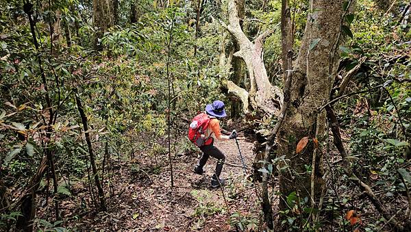 【水社大山】北陵線登山口，白石土地公O繞，挑戰日月潭最高峰-