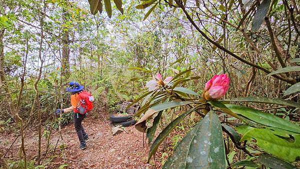 【水社大山】北陵線登山口，白石土地公O繞，挑戰日月潭最高峰-