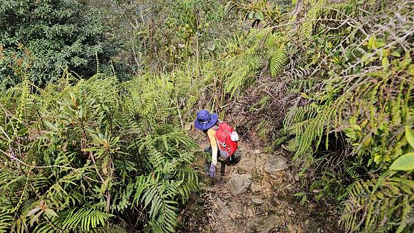 【水社大山】北陵線登山口，白石土地公O繞，挑戰日月潭最高峰-