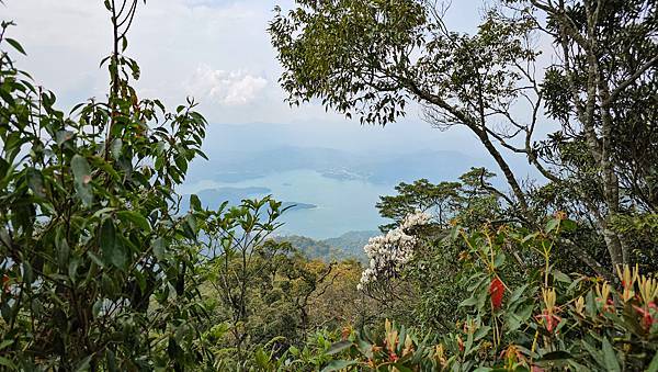 【水社大山】北陵線登山口，白石土地公O繞，挑戰日月潭最高峰-