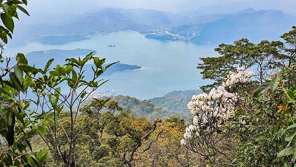 【水社大山】北陵線登山口，白石土地公O繞，挑戰日月潭最高峰-