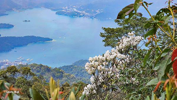 【水社大山】北陵線登山口，白石土地公O繞，挑戰日月潭最高峰-