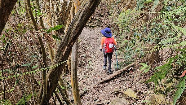 【水社大山】北陵線登山口，白石土地公O繞，挑戰日月潭最高峰-