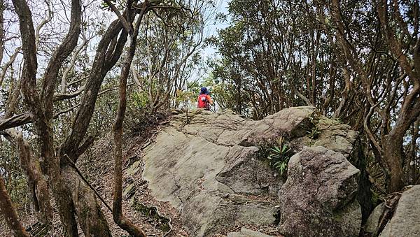 【水社大山】北陵線登山口，白石土地公O繞，挑戰日月潭最高峰-