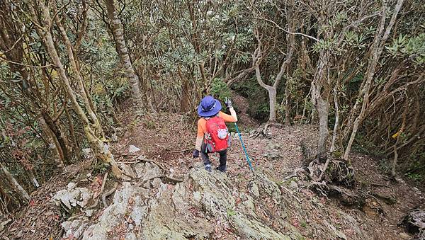 【水社大山】北陵線登山口，白石土地公O繞，挑戰日月潭最高峰-