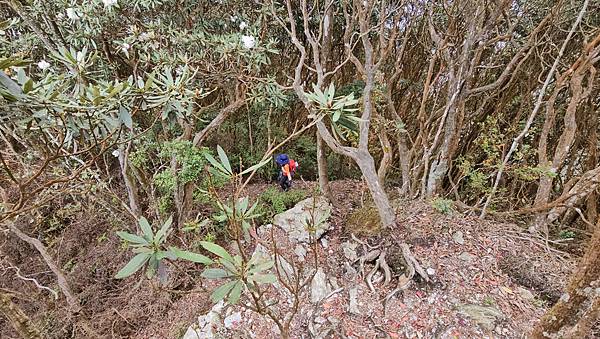 【水社大山】北陵線登山口，白石土地公O繞，挑戰日月潭最高峰-