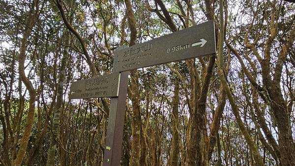 【水社大山】北陵線登山口，白石土地公O繞，挑戰日月潭最高峰-