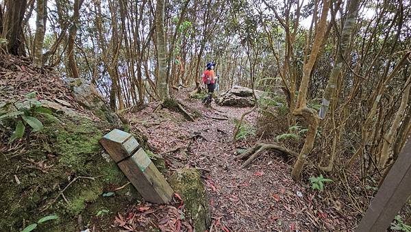 【水社大山】北陵線登山口，白石土地公O繞，挑戰日月潭最高峰-
