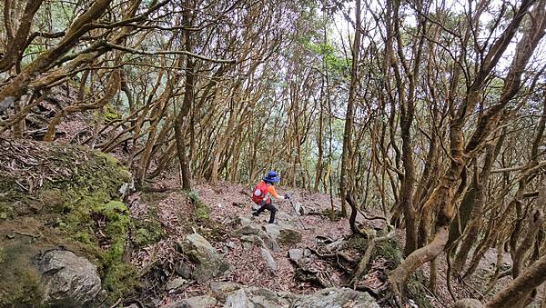 【水社大山】北陵線登山口，白石土地公O繞，挑戰日月潭最高峰-