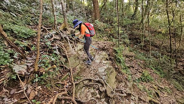 【水社大山】北陵線登山口，白石土地公O繞，挑戰日月潭最高峰-