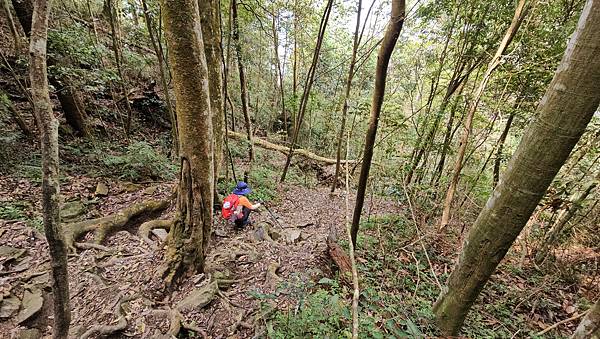 【水社大山】北陵線登山口，白石土地公O繞，挑戰日月潭最高峰-