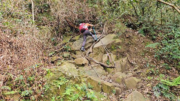 【水社大山】北陵線登山口，白石土地公O繞，挑戰日月潭最高峰-