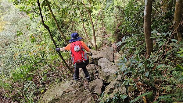 【水社大山】北陵線登山口，白石土地公O繞，挑戰日月潭最高峰-