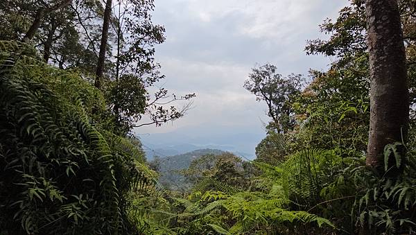 【水社大山】北陵線登山口，白石土地公O繞，挑戰日月潭最高峰-