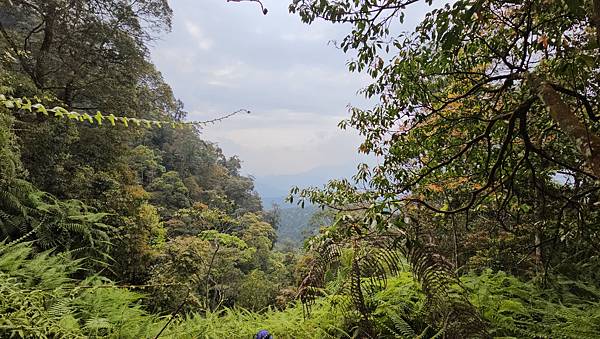 【水社大山】北陵線登山口，白石土地公O繞，挑戰日月潭最高峰-