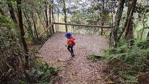 【水社大山】北陵線登山口，白石土地公O繞，挑戰日月潭最高峰-