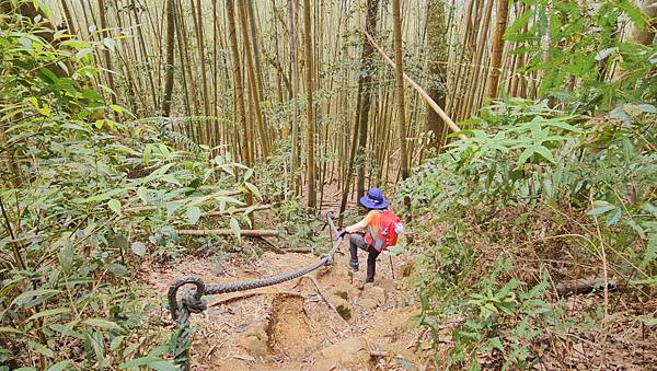 【水社大山】北陵線登山口，白石土地公O繞，挑戰日月潭最高峰-