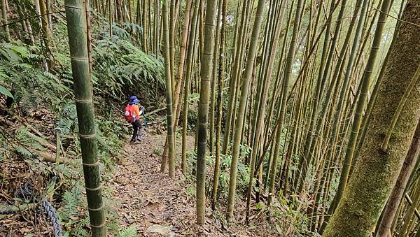【水社大山】北陵線登山口，白石土地公O繞，挑戰日月潭最高峰-