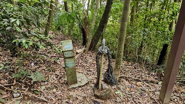 【水社大山】北陵線登山口，白石土地公O繞，挑戰日月潭最高峰-