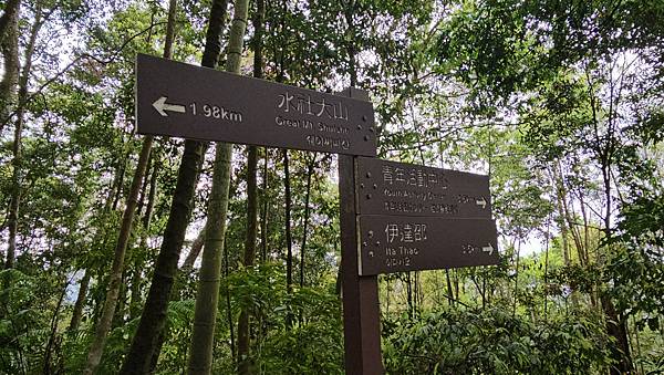 【水社大山】北陵線登山口，白石土地公O繞，挑戰日月潭最高峰-