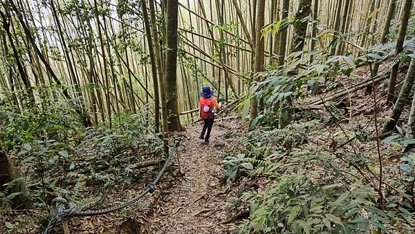 【水社大山】北陵線登山口，白石土地公O繞，挑戰日月潭最高峰-